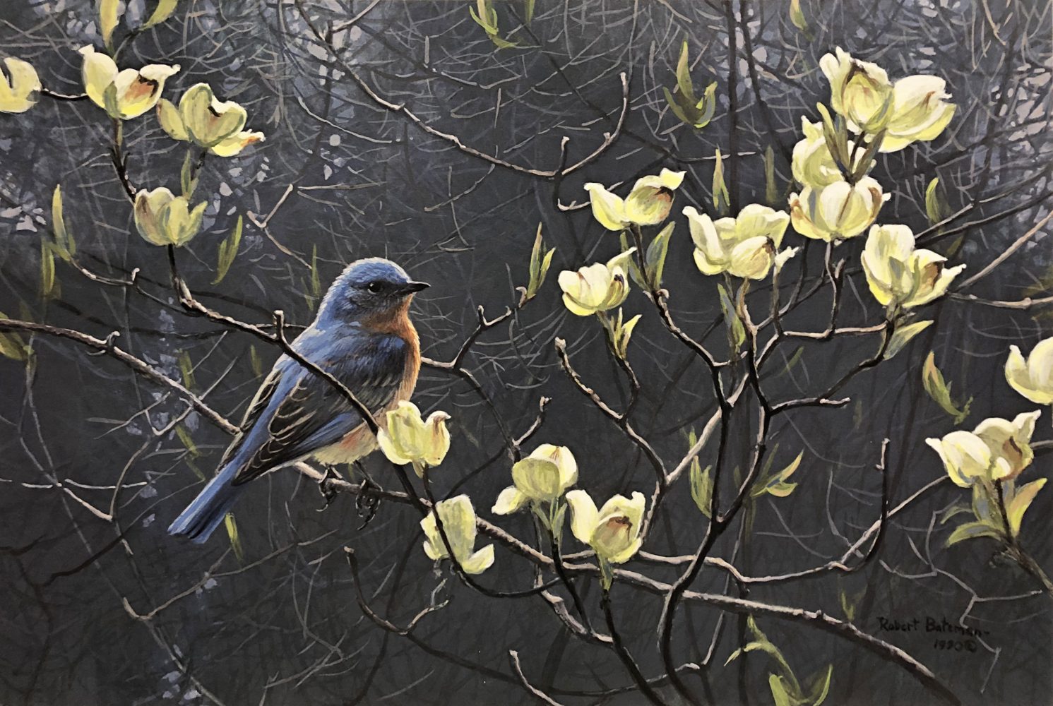 Bluebird and Blossoms