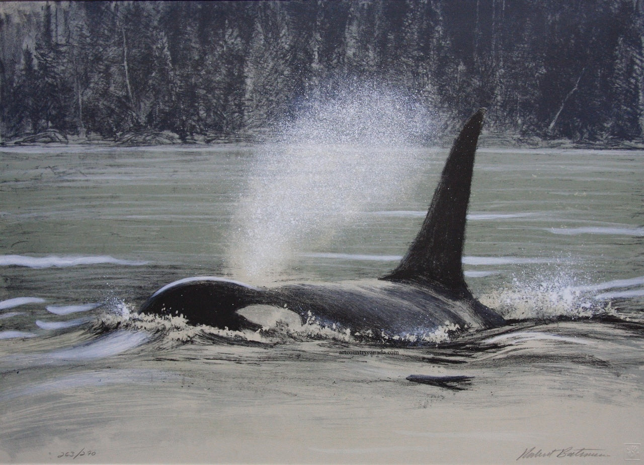 Fluid Power Orca