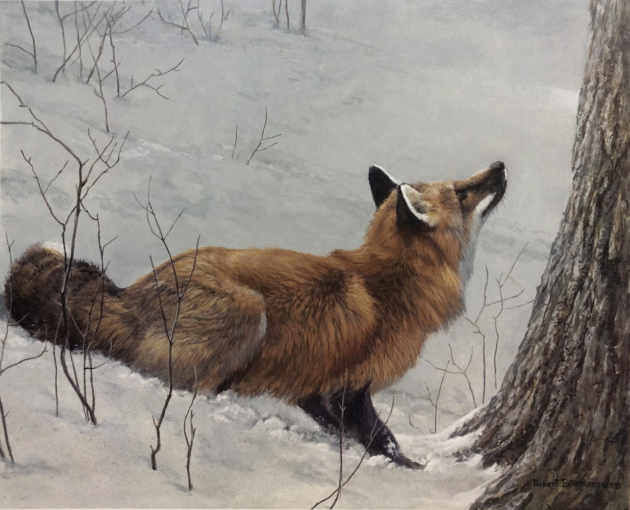 Game Over Fox and Maple
