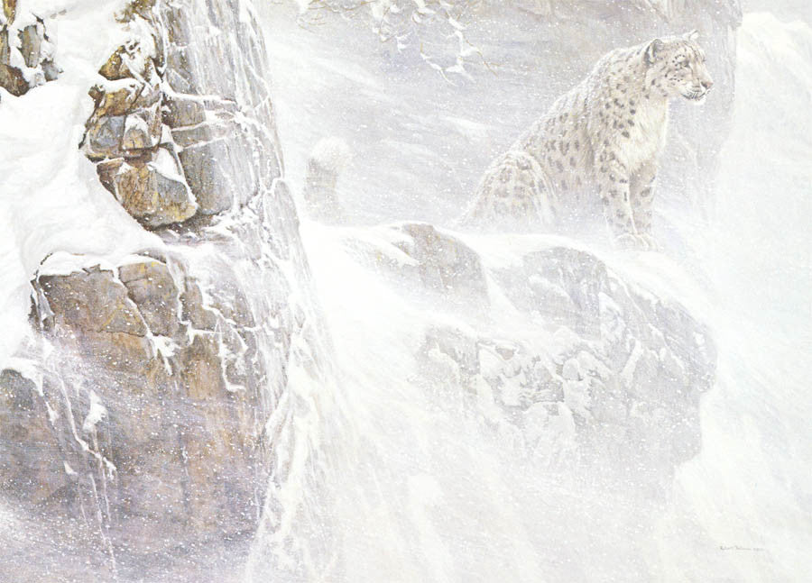 High Kingdom - Snow Leopard