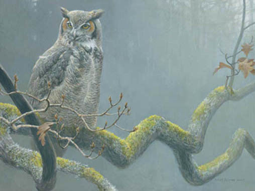 In the Oak - Great Horned Owl