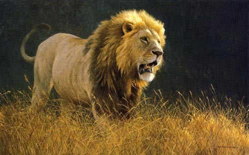 Into The Light Lion