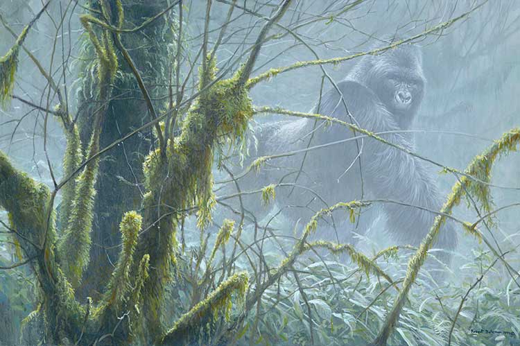 Intrusion - Mountain Gorilla