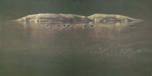 Loon Gathering At Big East