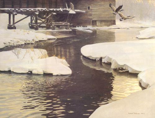 Mill Pond Canada Geese