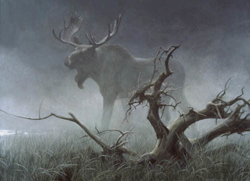 Moose In Moonlight
