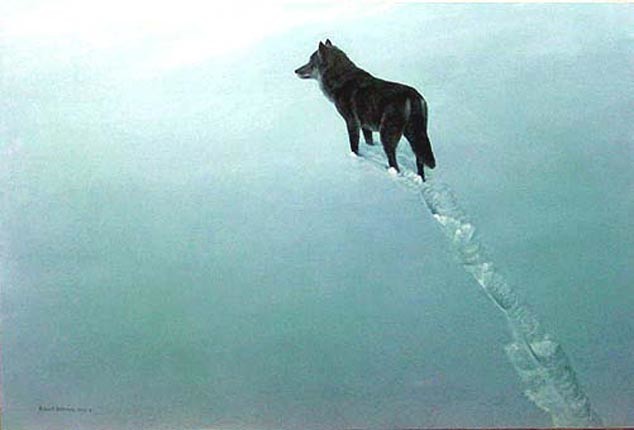 New Territory - Black Wolf