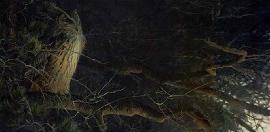 Night Fall Eagle Owl