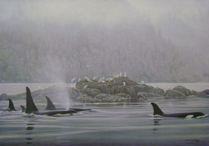 Orca Procession