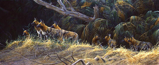 Painted Dogs