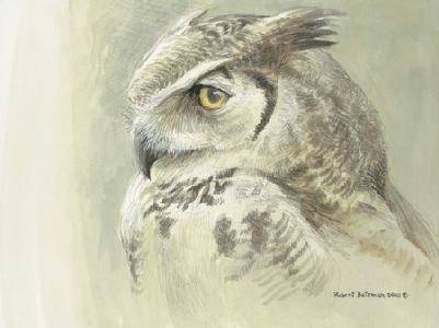 Samantha - Great Horned Owl